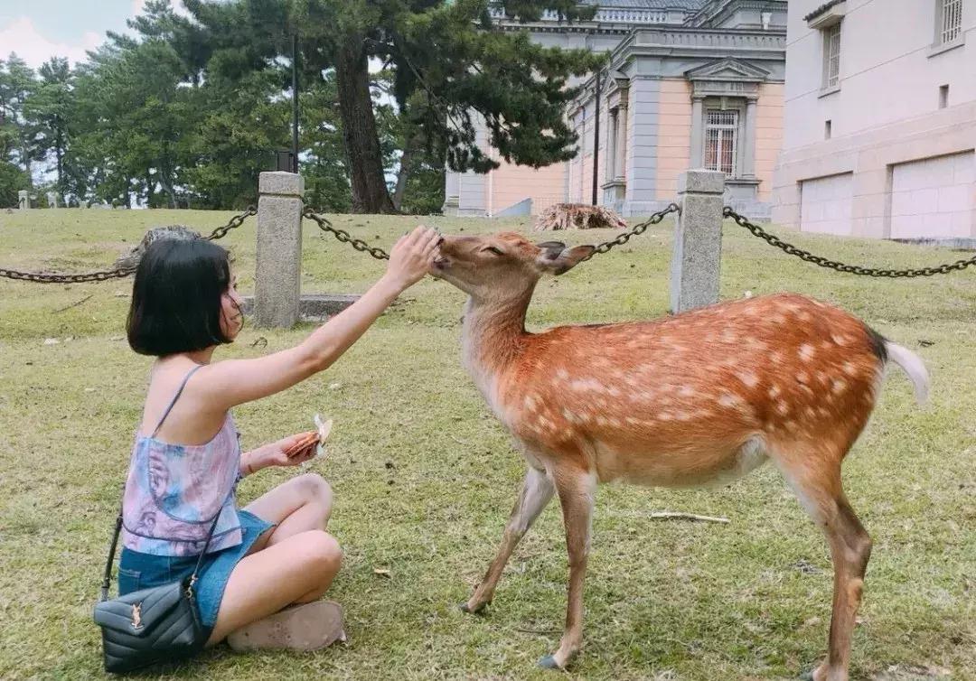 ysl圣罗兰包包二手单肩,ysl圣罗兰包包哪里买最便宜地址