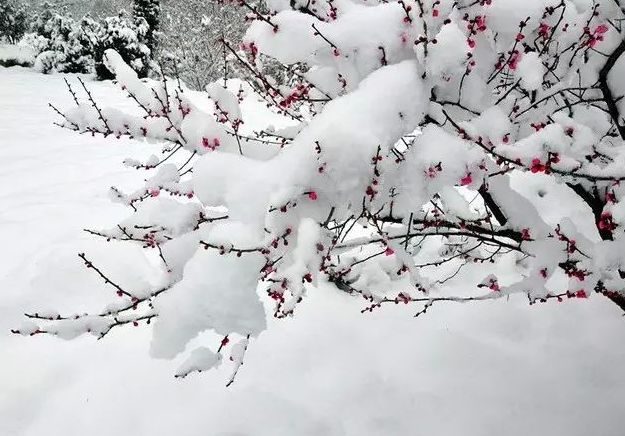 「诗词原创」张大泽｜围炉赊得三壶酒恰是闲来赋月诗
