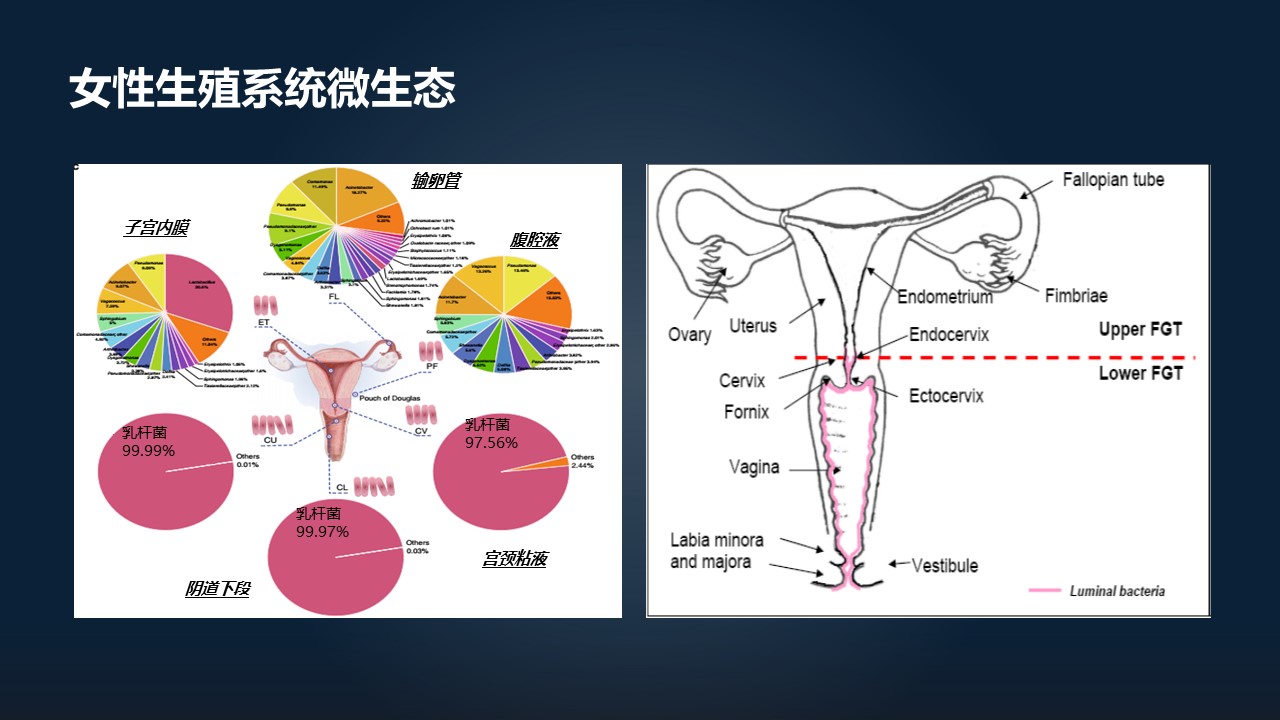 肖冰冰的小视频,肖冰冰讲的12生肖