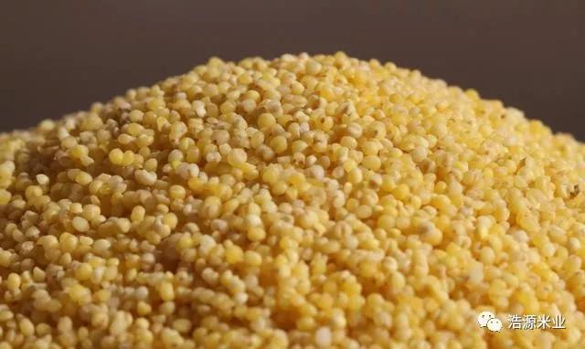 蒸小米要泡多久时间,小米和肉怎么蒸