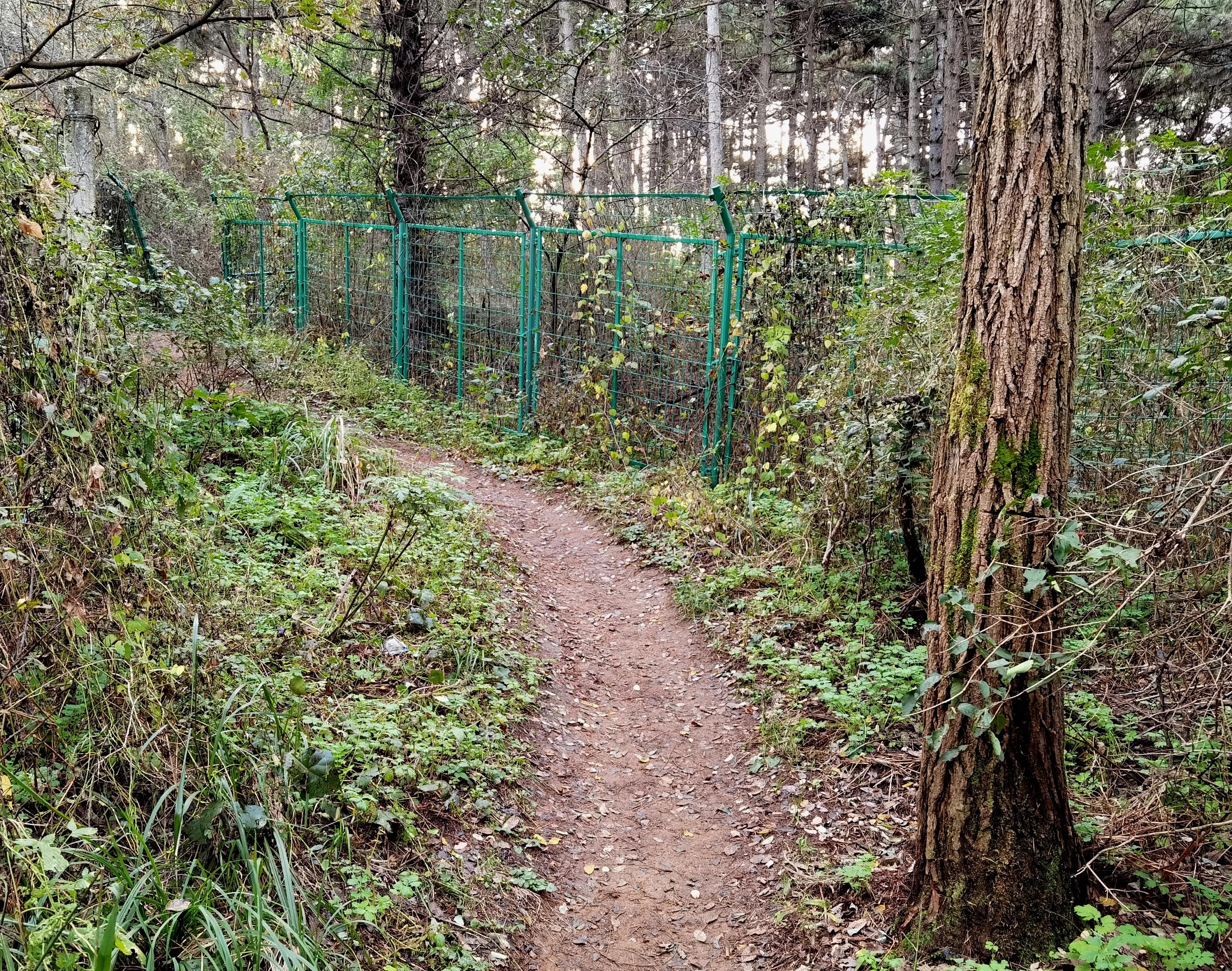 抚顺交通宾馆发生了什么,抚顺交通宾馆位置