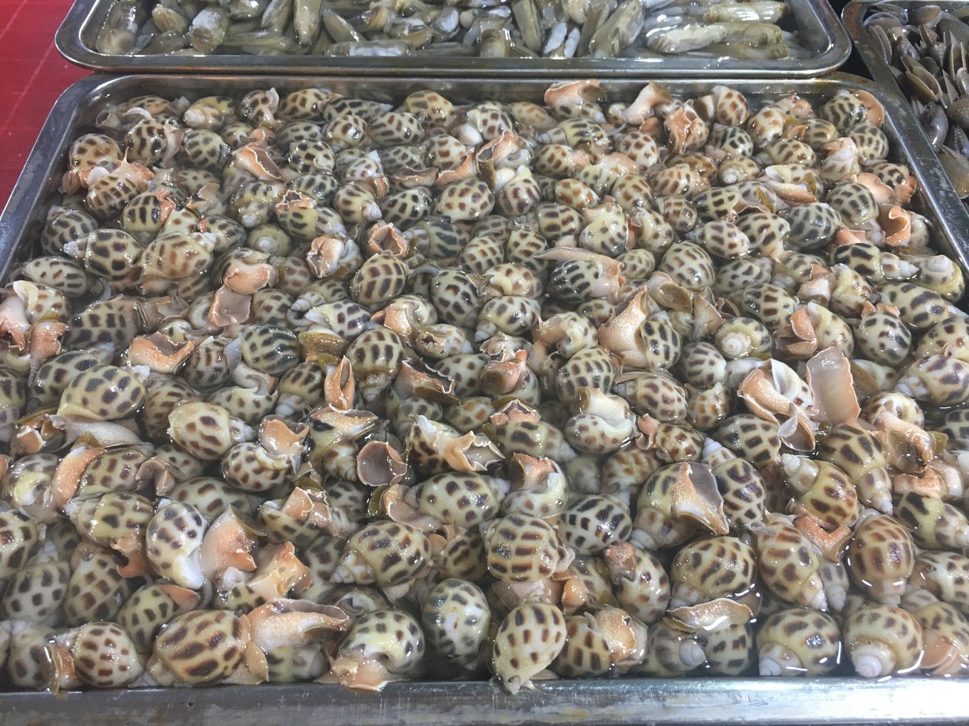 三亚旅游吃海鲜防宰攻略,三亚蜈支洲岛吃海鲜攻略