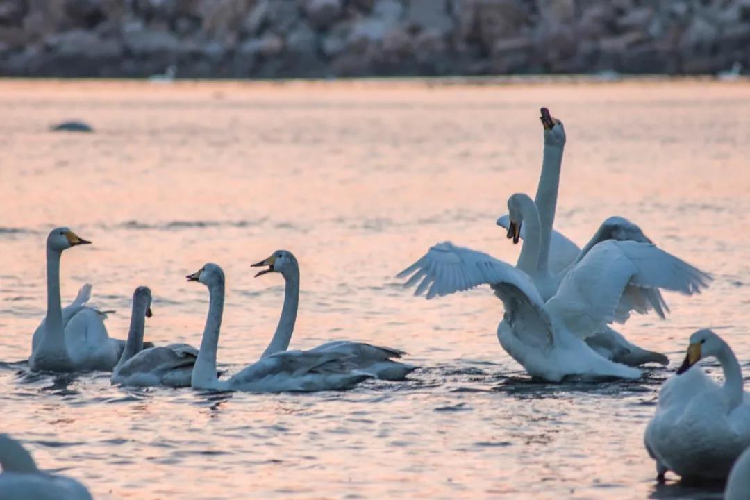 20个耳熟能详的成语,50个有典故的成语