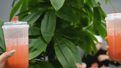 鲜果时间新天地,鲜果时间多彩城店