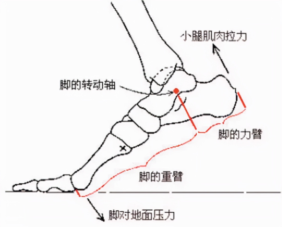 买鞋子尺码怎么选,运动鞋尺码要买偏大还是偏小