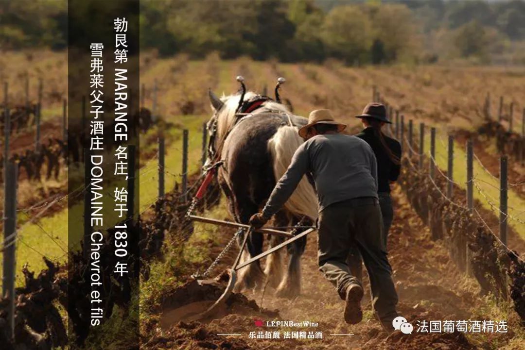 乐品佰馥沂源,乐品佰馥进口