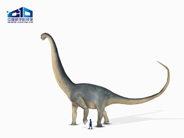 有图有真相有依据,有图有真相眼见为实