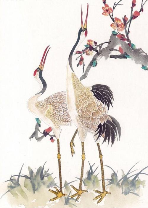 丹顶鹤的顶真的有剧毒吗,丹顶鹤顶红是什么原因