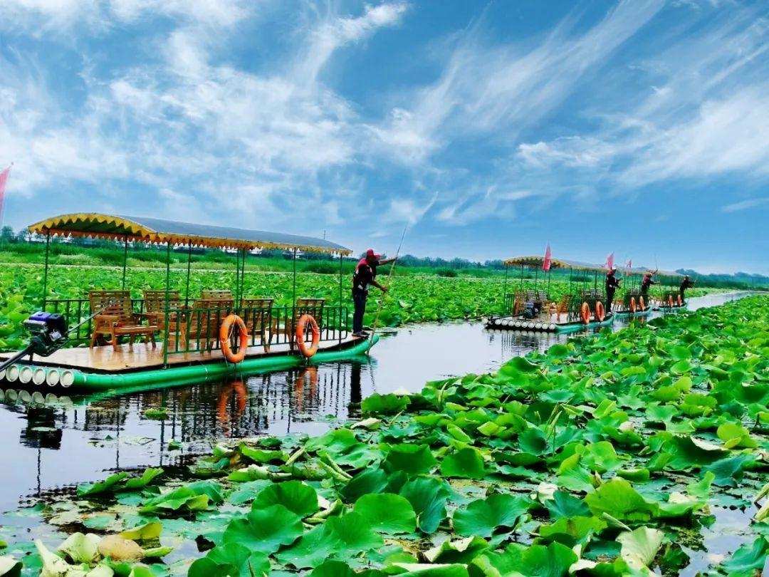 穷小子进城创业被骗,穷小子经商回家竟拿出100万