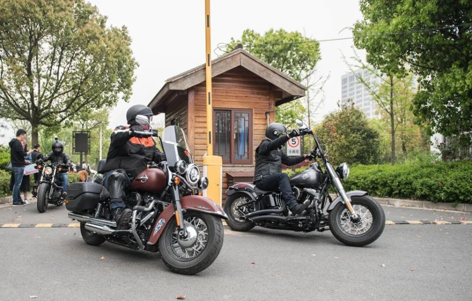 28届菏泽牡丹花会直播,38届洛阳牡丹花会直播