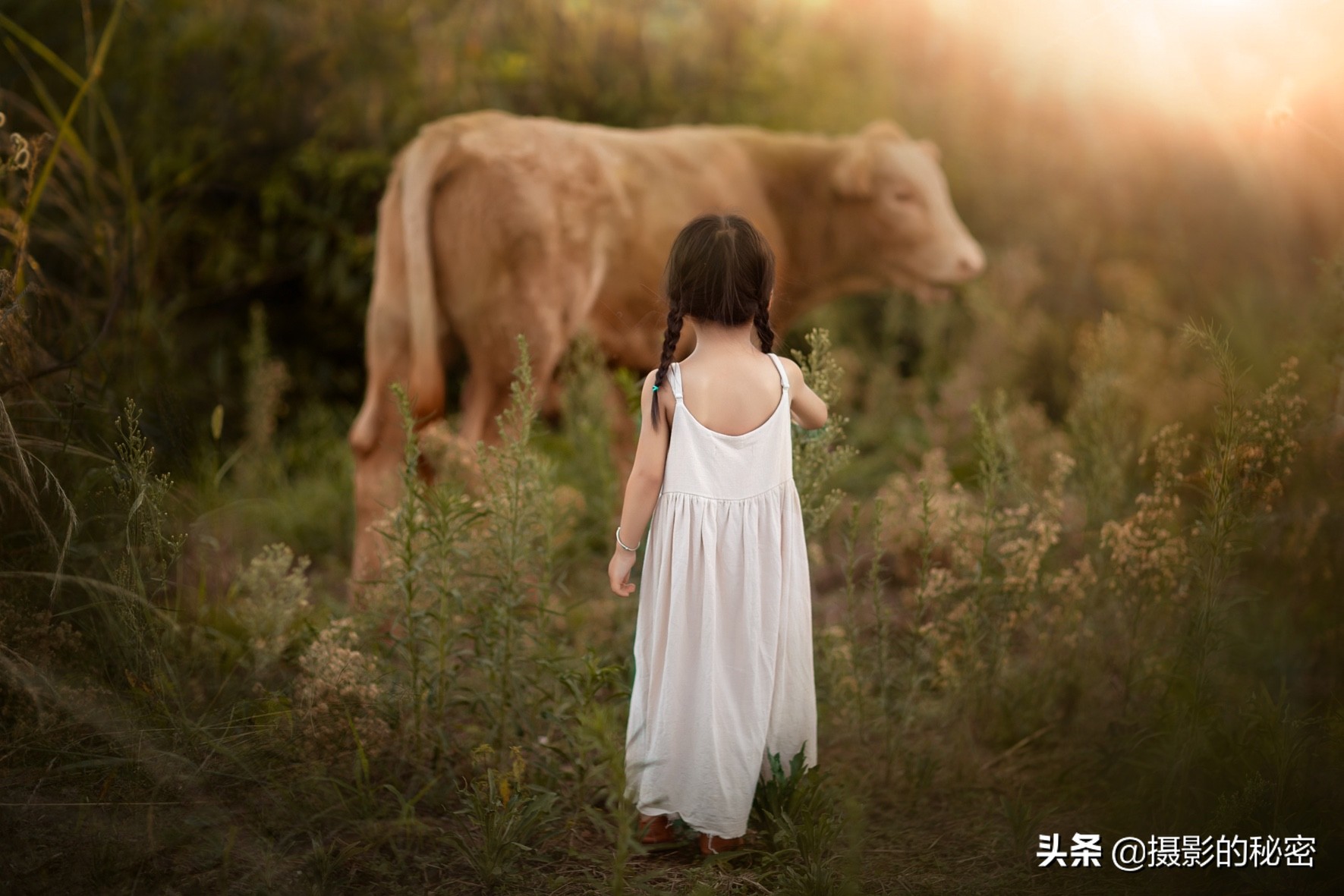 专访｜在乡下拍儿童客单价近5000元，她是如何突破传统思维的？