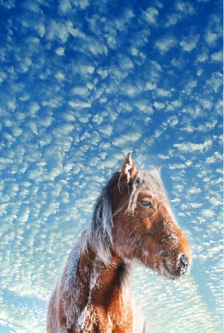 香港第14届全国摄影艺术展,第29届全国摄影艺术展览获奖名单