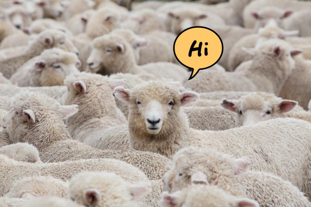 最抗寒的棉服,抗寒最好的棉服