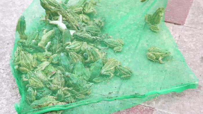 泸州风味把把烧,云南把把烧特色烤鱼