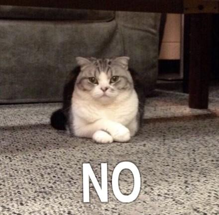 女生应该送什么礼物给直男,直男送的礼物清单