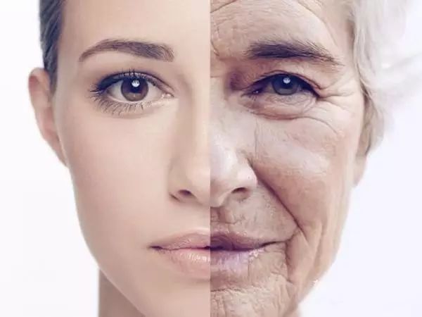 抗氧化产品深度分析,深度剖析抗氧化成分