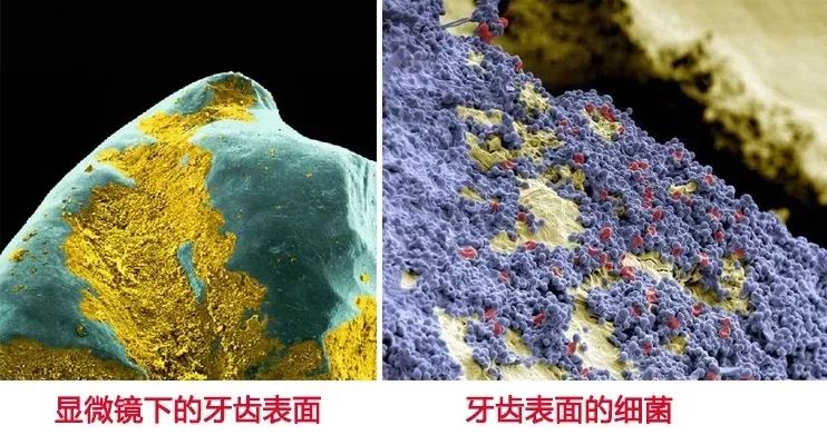 限时疯抢全国包邮,限时抢购全部68折优惠