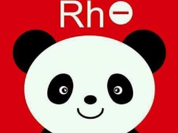 rh血型熊猫血什么意思,rh阴性熊猫血a型是什么意思