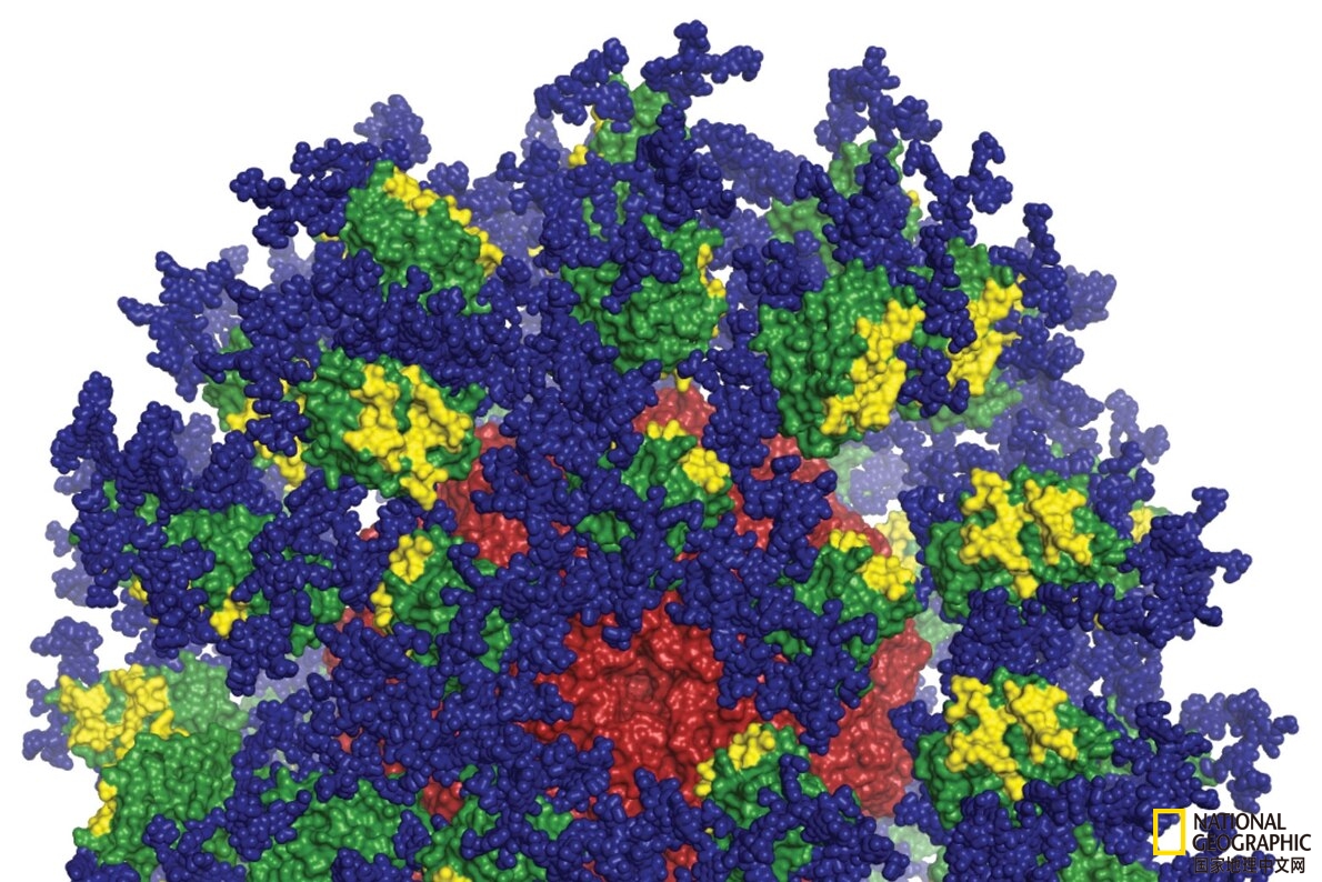 艾滋病疫苗最快上市价格,艾滋病疫苗的最新进展