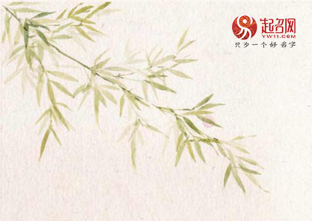 名字大全女孩春天出生,姓孟属虎春天出生的女孩名字