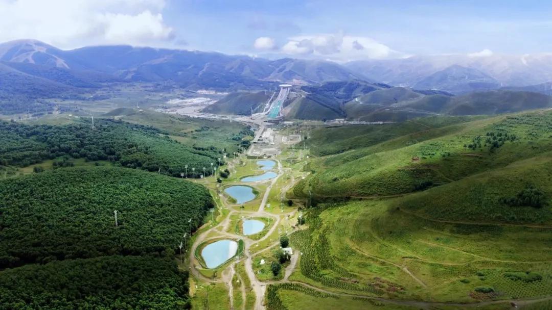 拓市场,拓市场稳外贸