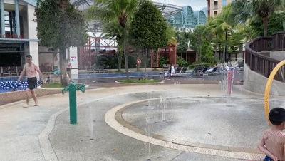 疫情期间去埃及旅游的亲历,疫情期间从深圳直飞洛杉矶体验