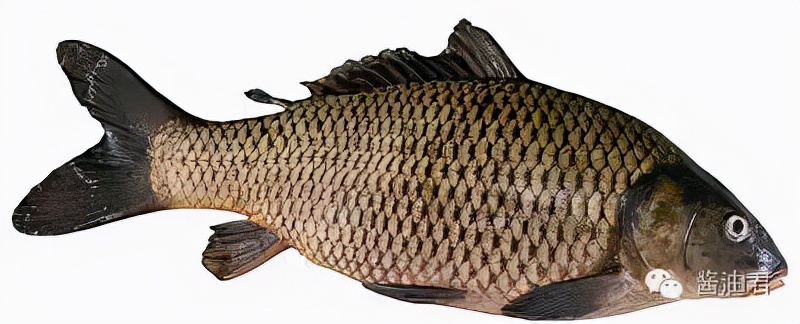 欧洲超市的鱼是活的吗,欧洲超市常见海鲜