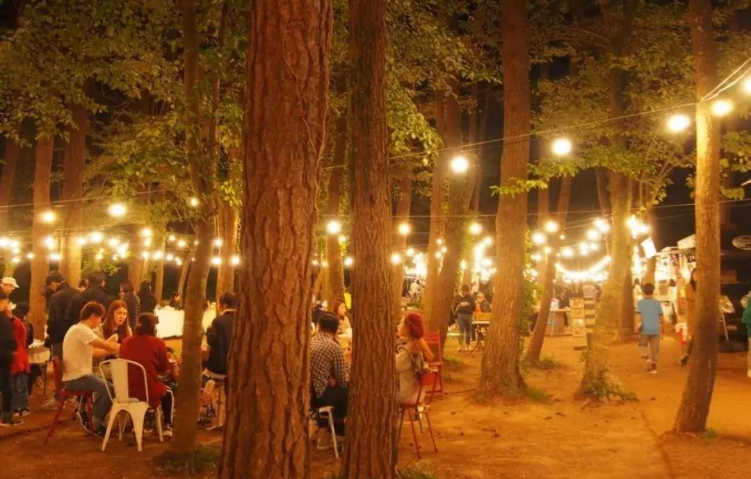 济州岛小清新旅游攻略,济州岛冬日街景