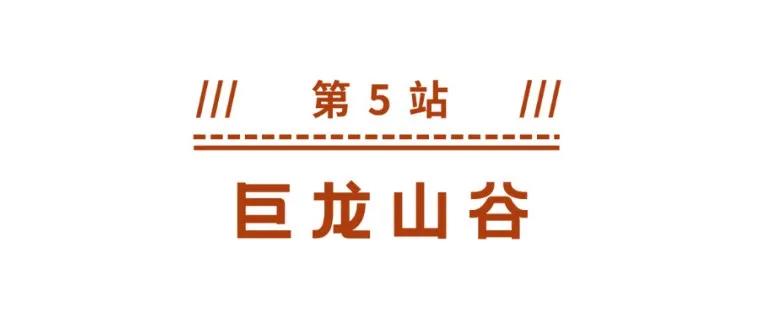 野生动物王国值不值得去,北方新开的动物王国