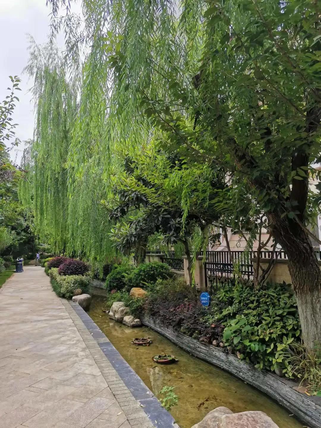 实探二手房,政务区栢悦公馆最新房价