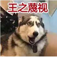 轻松一刻·第一次，一直进不去，肿么办？