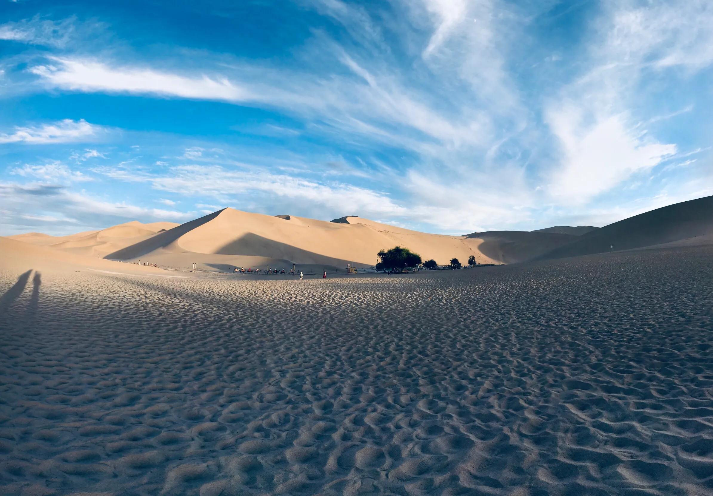 十一种孤独曾一鸣,读孤独之旅有感100字