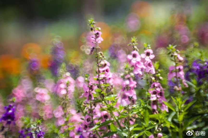 一镜多用的眼镜咋样,一镜多用多功能眼镜