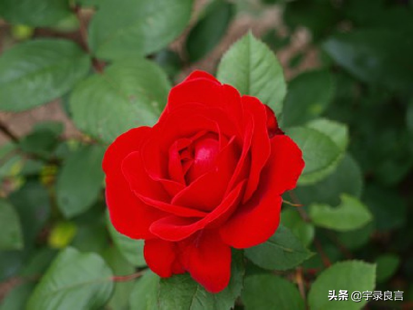 有深度有品位的短句子发朋友圈,有深度有品味的句子适合朋友圈