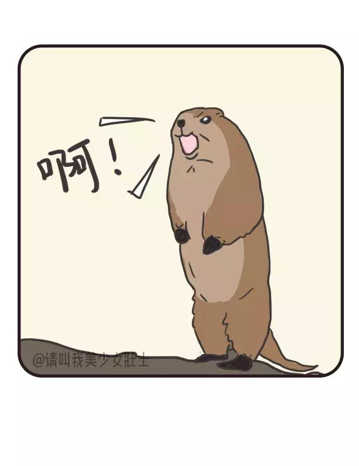 永不过时的穿搭品牌有哪些,好穿好看的小众品牌有哪些