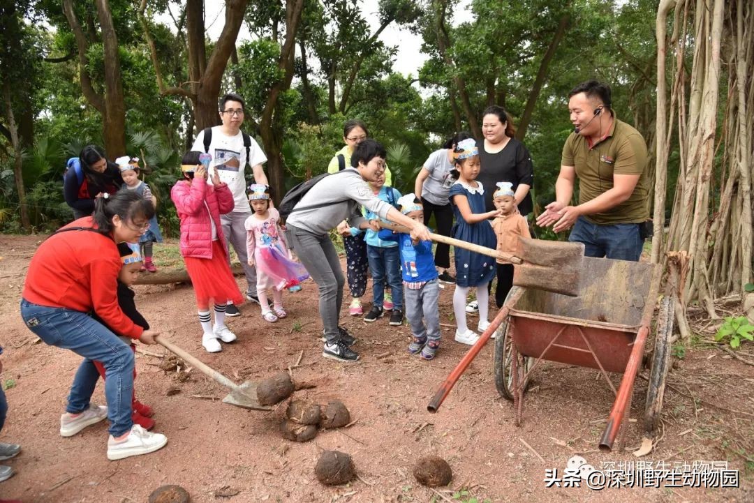 野象谷和大象互动视频,野象谷跟大象互动