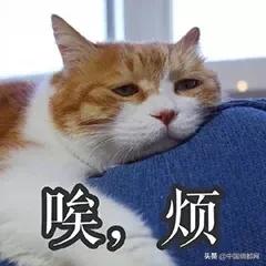 惊喜:接到了2个集装箱的春亚纺＋PE膜订单！涤塔夫、春亚纺大卖？