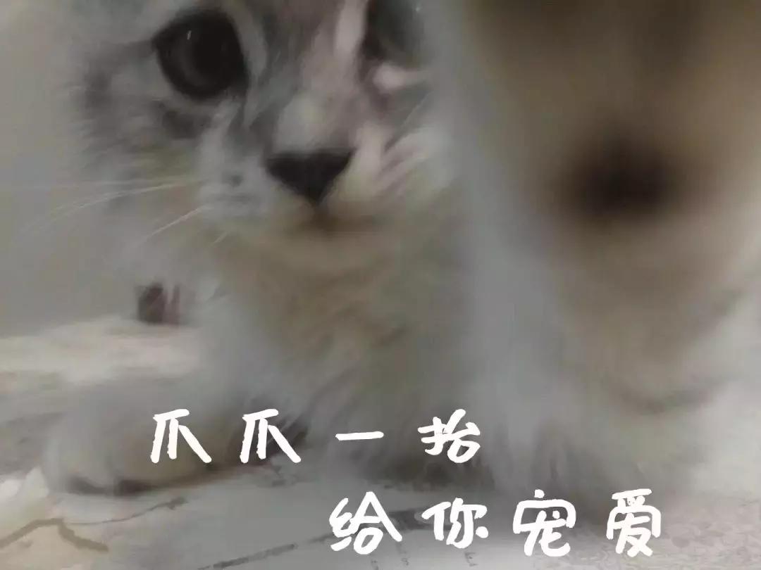 端午节好耍的亲子地方,端午节去哪儿玩适合儿童