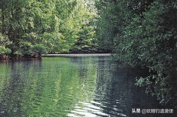 夏季下雨过后钓鱼应如何选择钓位,夏季垂钓这3个钓位上鱼超多