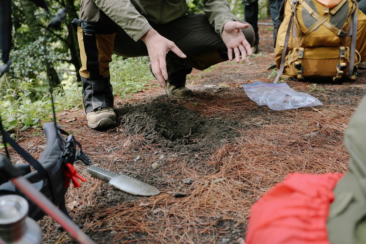 爱护山林保护大自然,爱护绿色森林怎么做