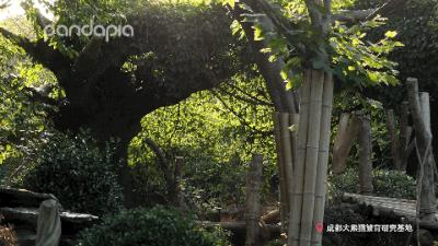 鍥藉疂缇庣櫧,鍥藉疂鐢ㄧ殑缇庣櫧闈㈣啘