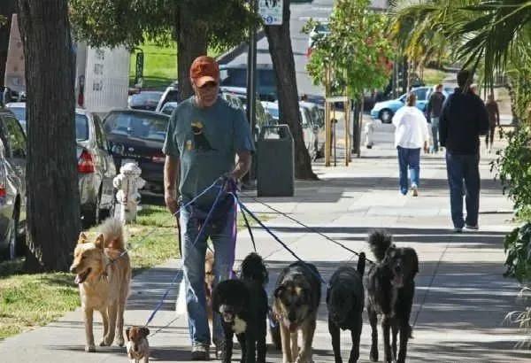 疫情后中国广告销冠全员战狼赢销力军团必须要牢记的50句格言