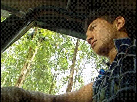 卫斯理红崖天书白素扮演者,18年前老片