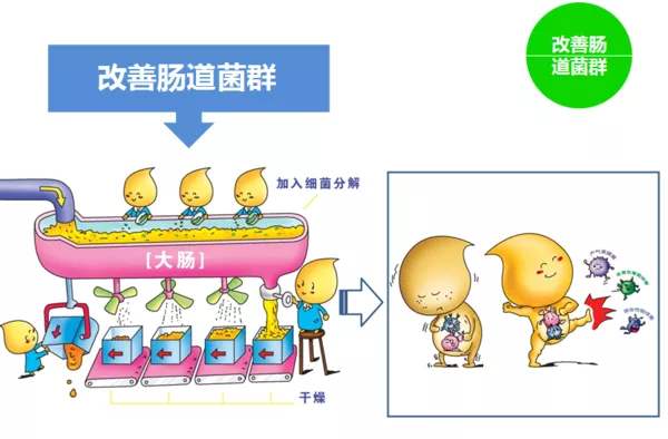 益生菌对过敏体质宝宝有作用吗,益生菌改善过敏体质吗