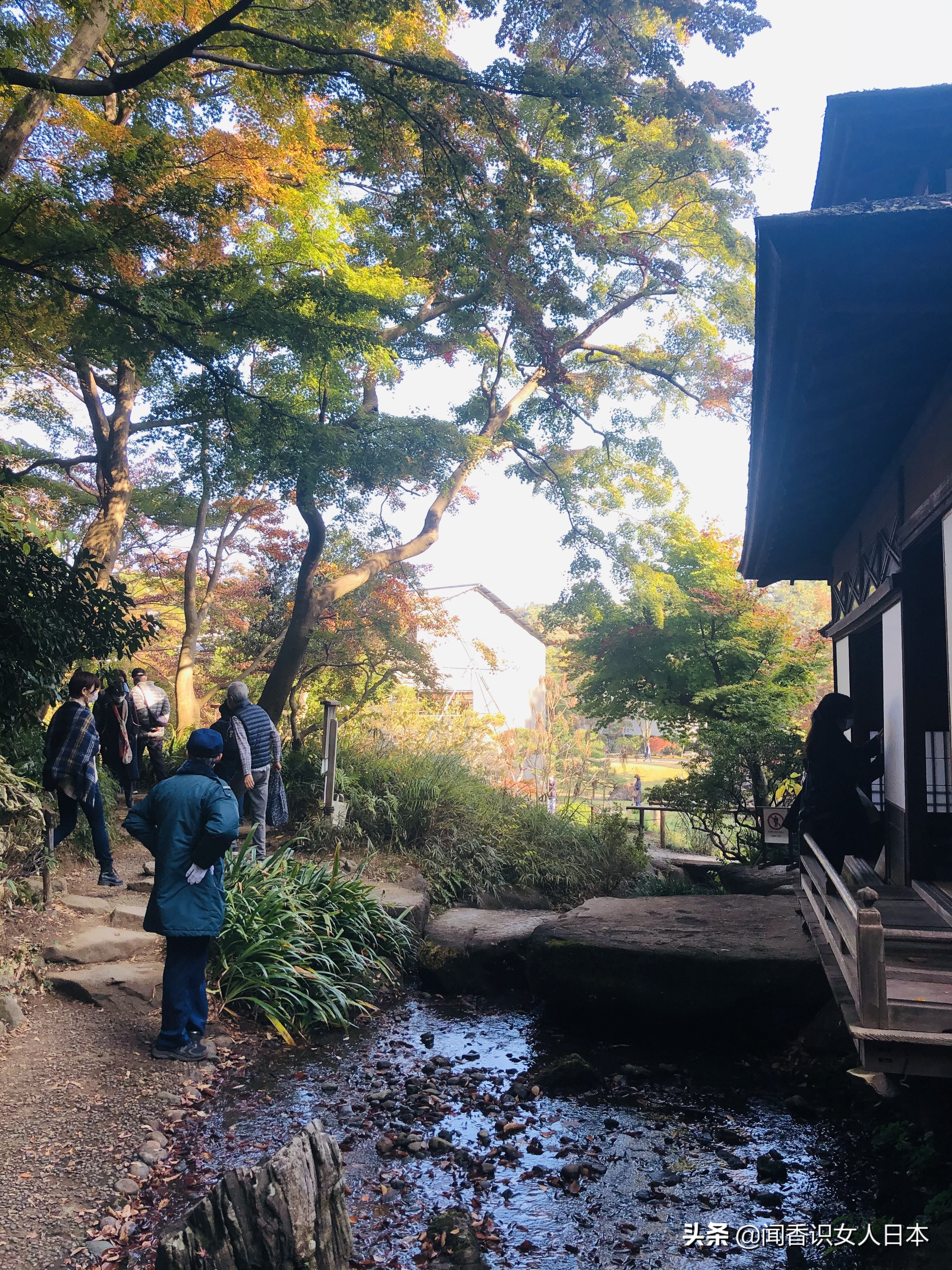 横滨三溪园,横滨三溪园介绍