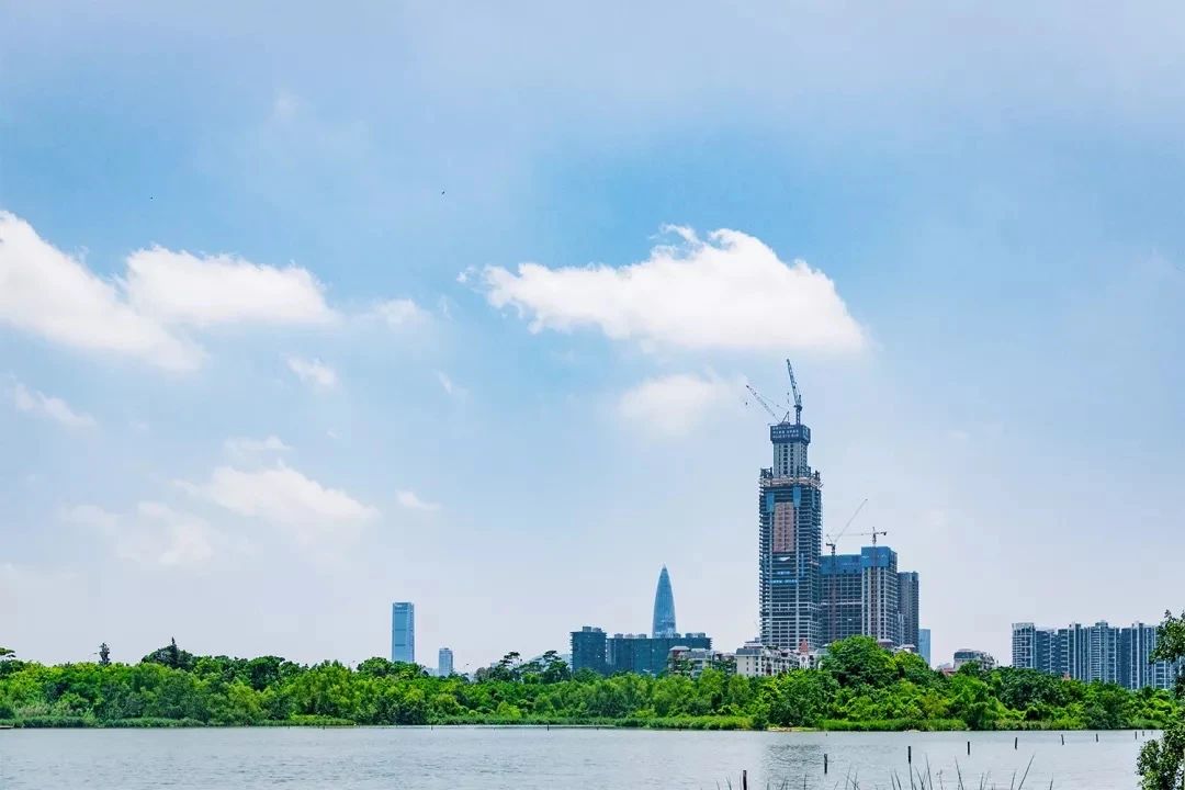 2021深圳免费适合遛娃玩地方排名,深圳免费游玩景点推荐