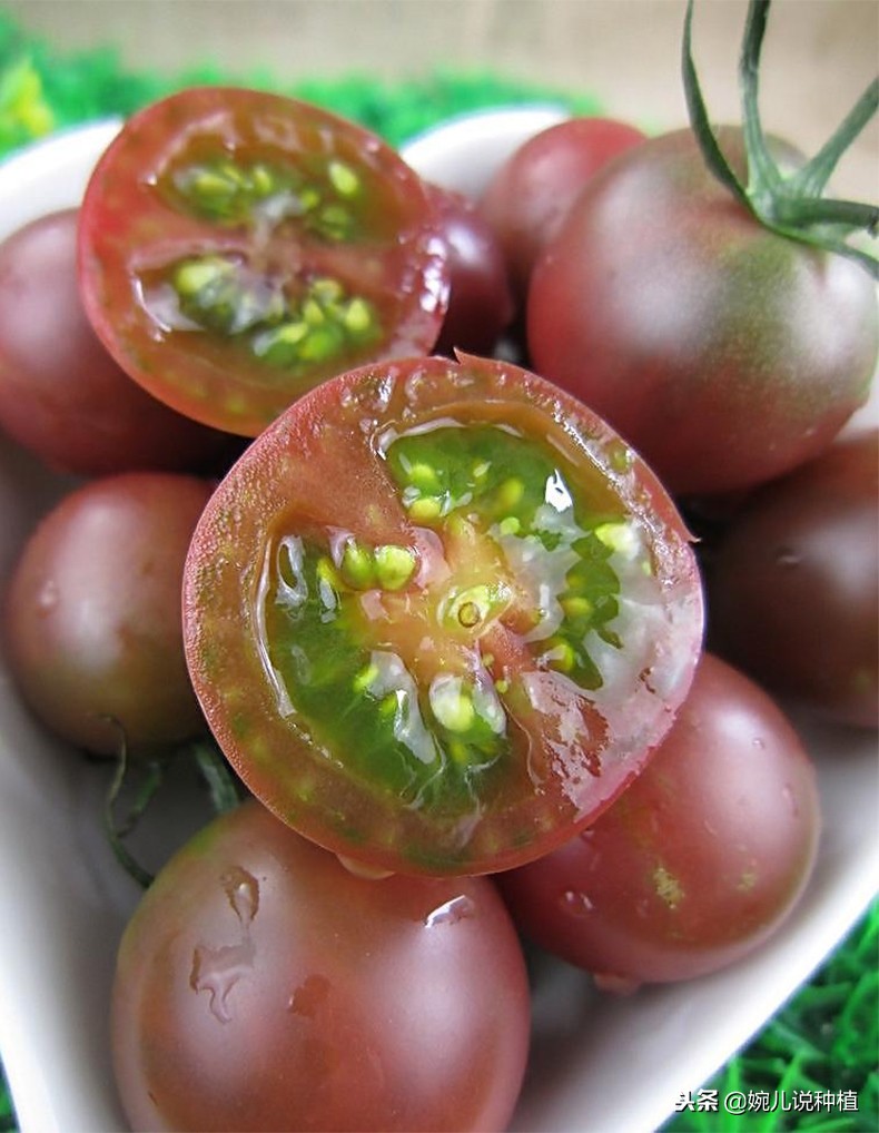 一斤番茄多少钱,批发市场番茄收购价多少钱一斤