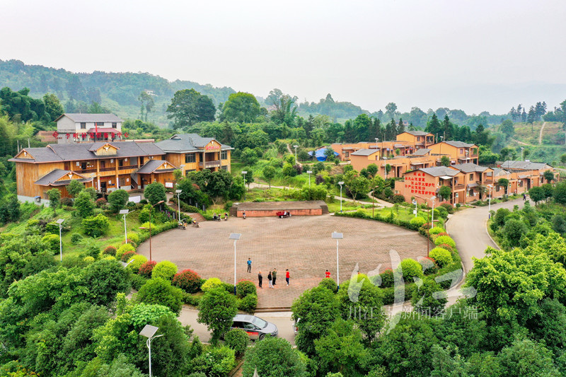 一线看发展,合江乡村振兴规划