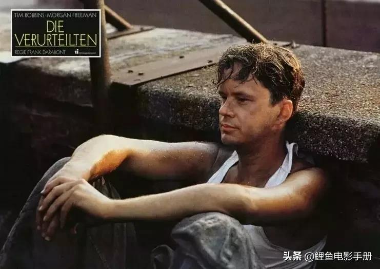 美国有哪些令人费解的电影,美国电影万万没想到