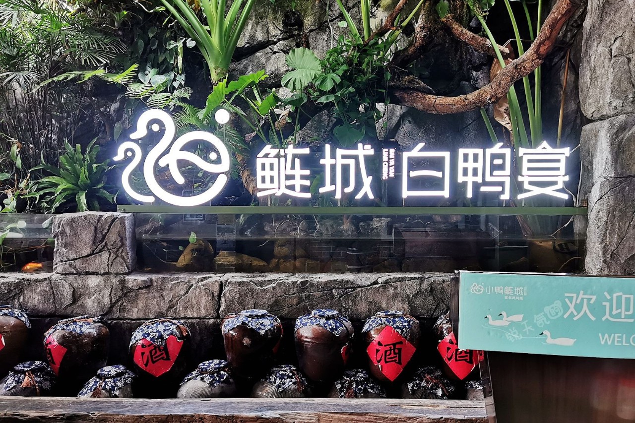 广西巴马长寿村的巴马长寿汤,巴马老鸭汤